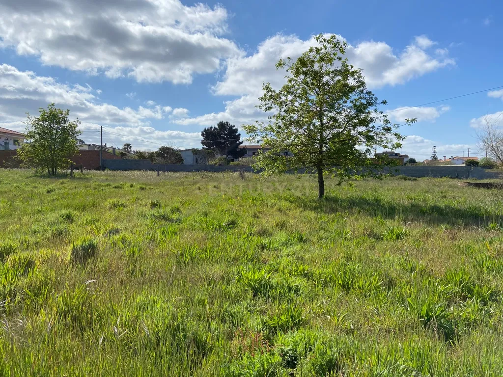 Excelente Terreno Urbano para construção nas Figueiras, Marinha Grande - Image 5
