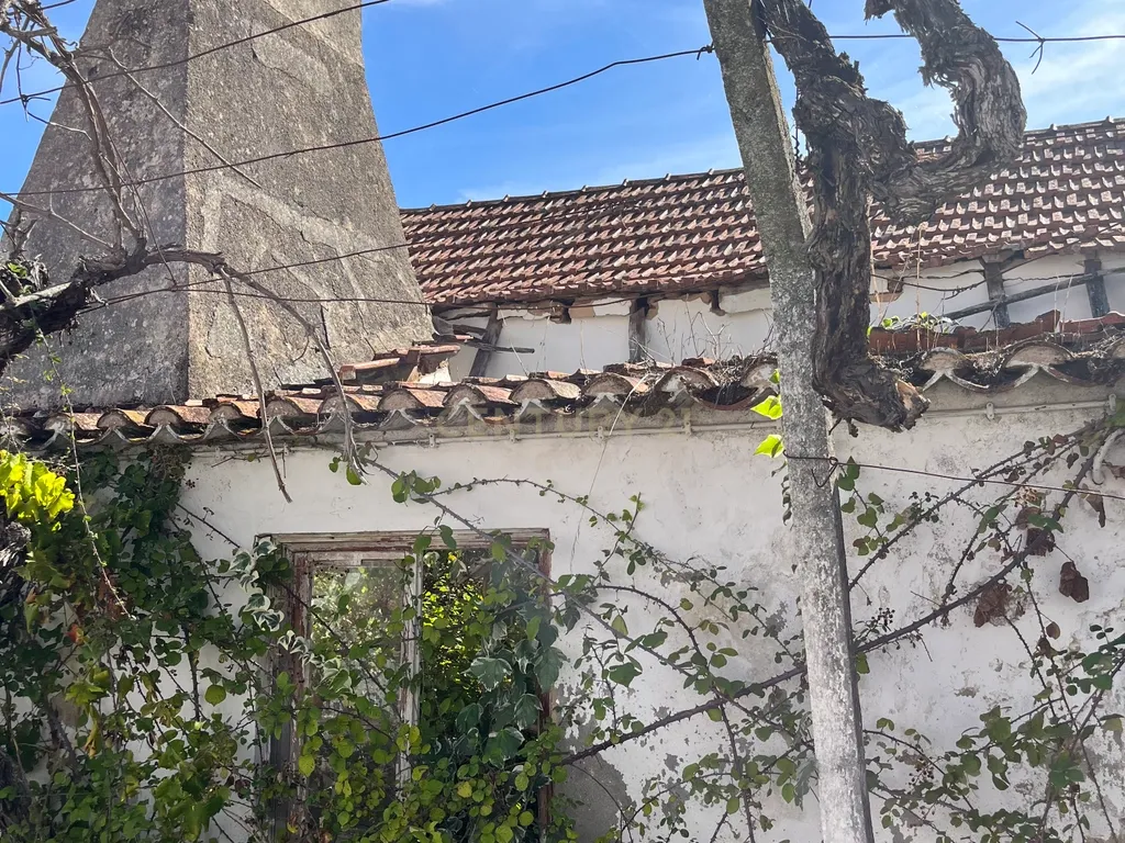 Terreno Misto em Expansão, com Grande Potencial Urbanístico, em Santarém - Image 8
