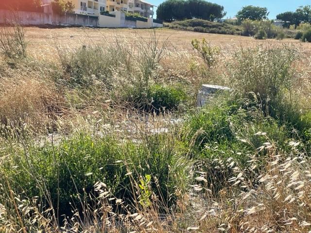 Terreno urbano em Porto Salvo, Oeiras - Image 2