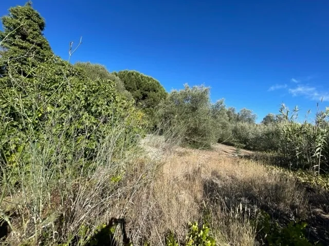 Terreno urbano em Porto Salvo, Oeiras - Image 3
