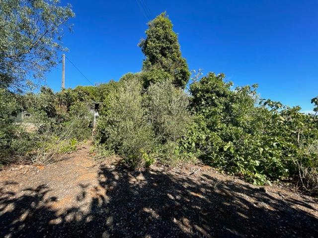 Terreno urbano em Porto Salvo, Oeiras - Image 14