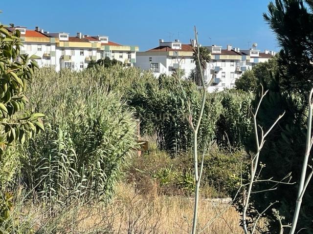 Terreno urbano em Porto Salvo, Oeiras - Image 6