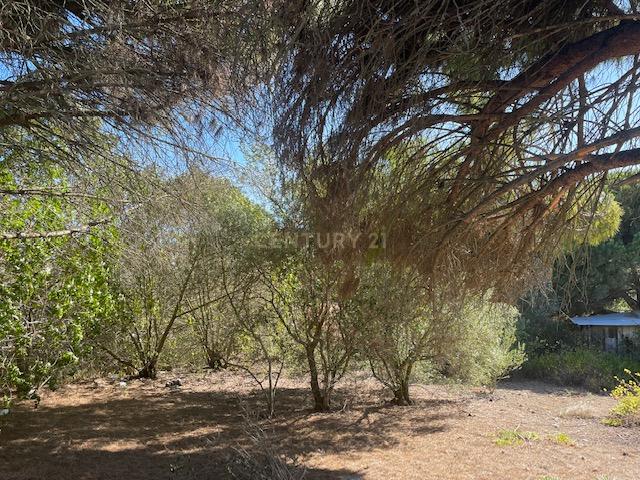 Terreno urbano em Porto Salvo, Oeiras - Image 13