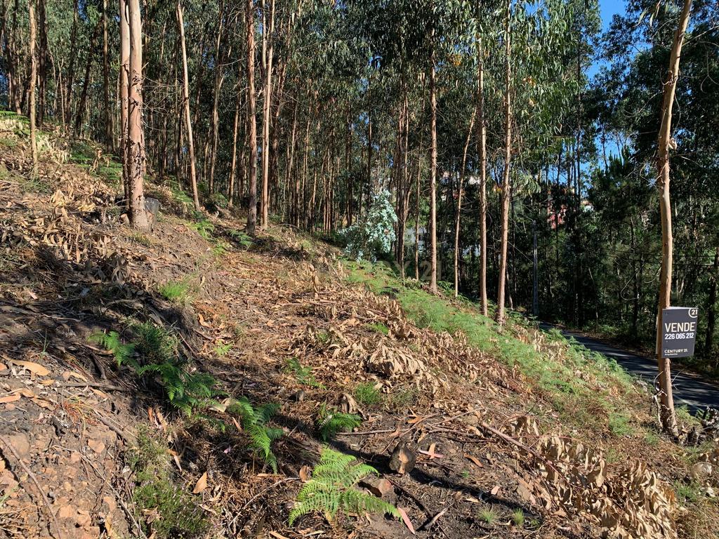 Terreno para construção em Lordelo - Image 1