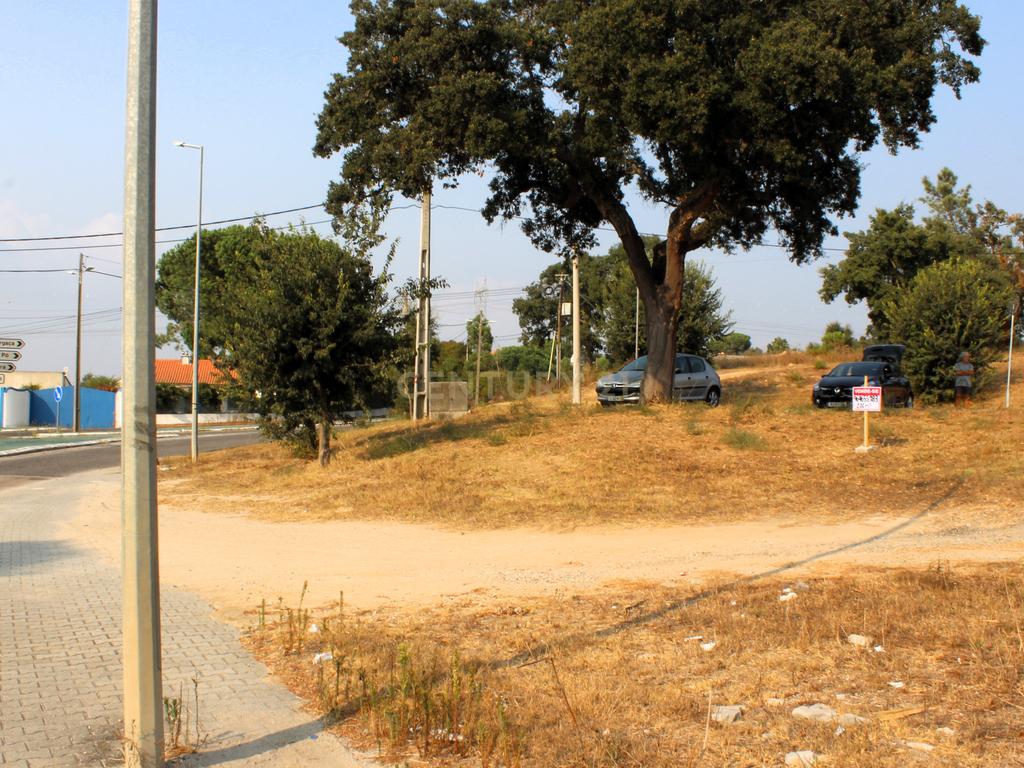 Terreno à venda em Águas de Moura, concelho de Palmela - Um refugio de tranquilidade e proximidade - Image 3
