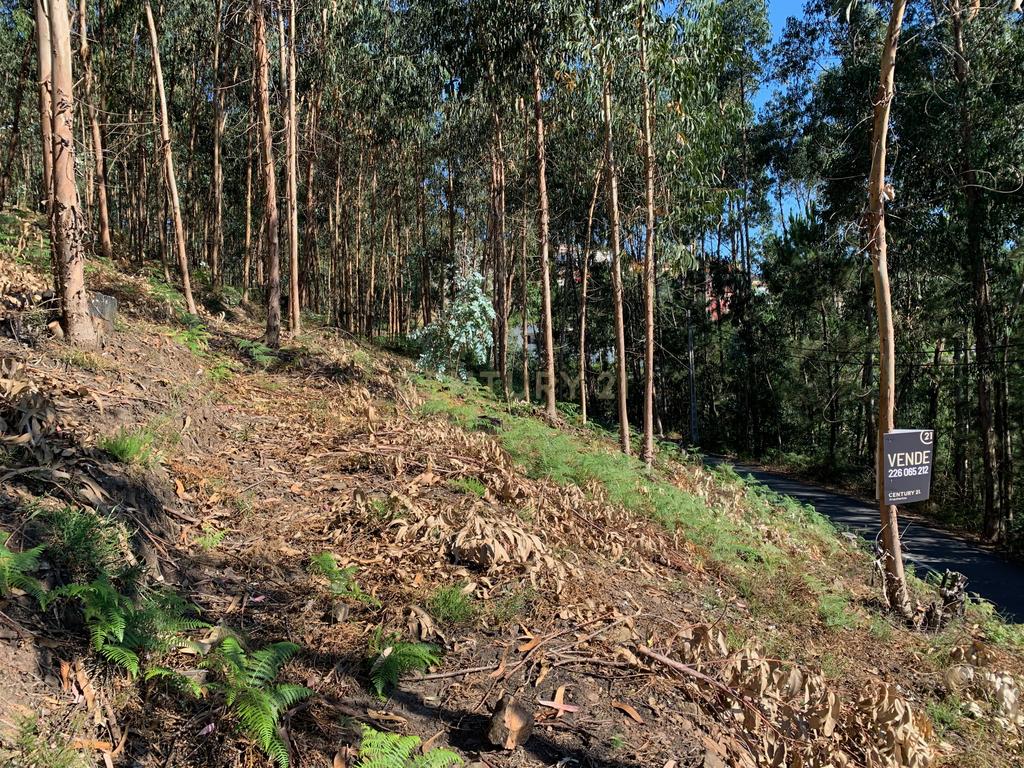 Terreno para construção em Lordelo - Image 7