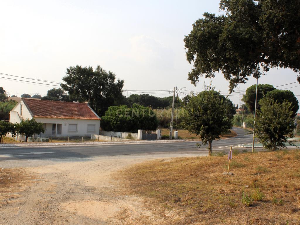 Terreno à venda em Águas de Moura, concelho de Palmela - Um refugio de tranquilidade e proximidade - Image 4