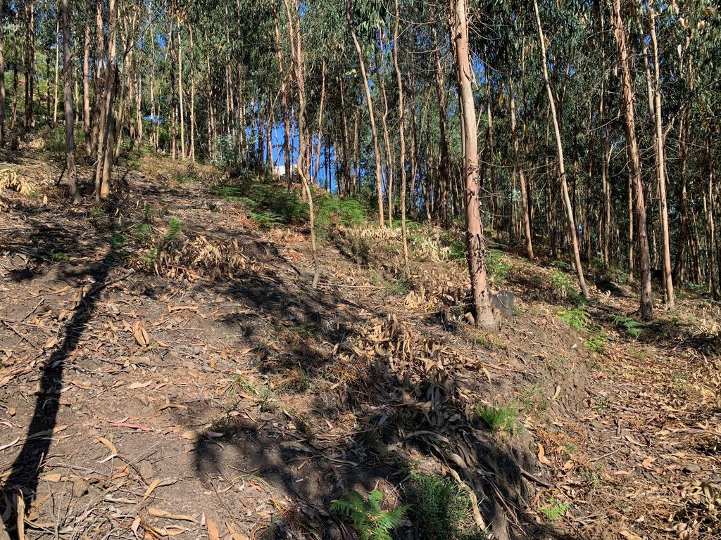 Terreno para construção em Lordelo - Image 6