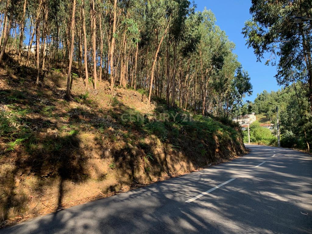 Terreno para construção em Lordelo - Image 5