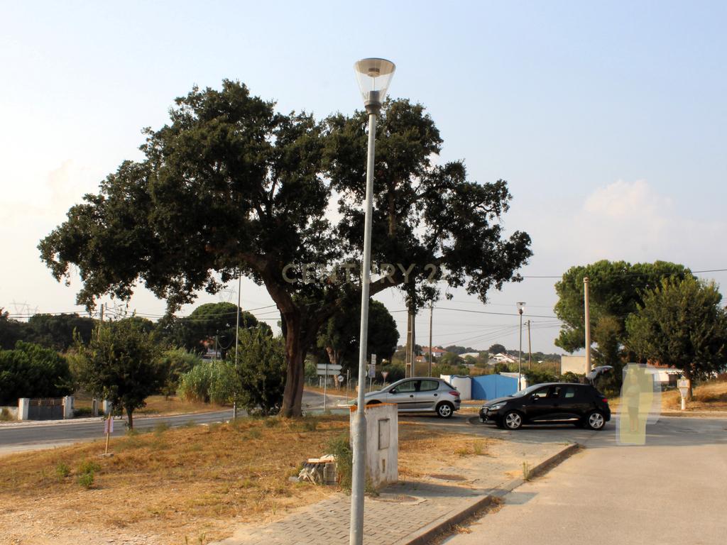 Terreno à venda em Águas de Moura, concelho de Palmela - Um refugio de tranquilidade e proximidade - Image 13