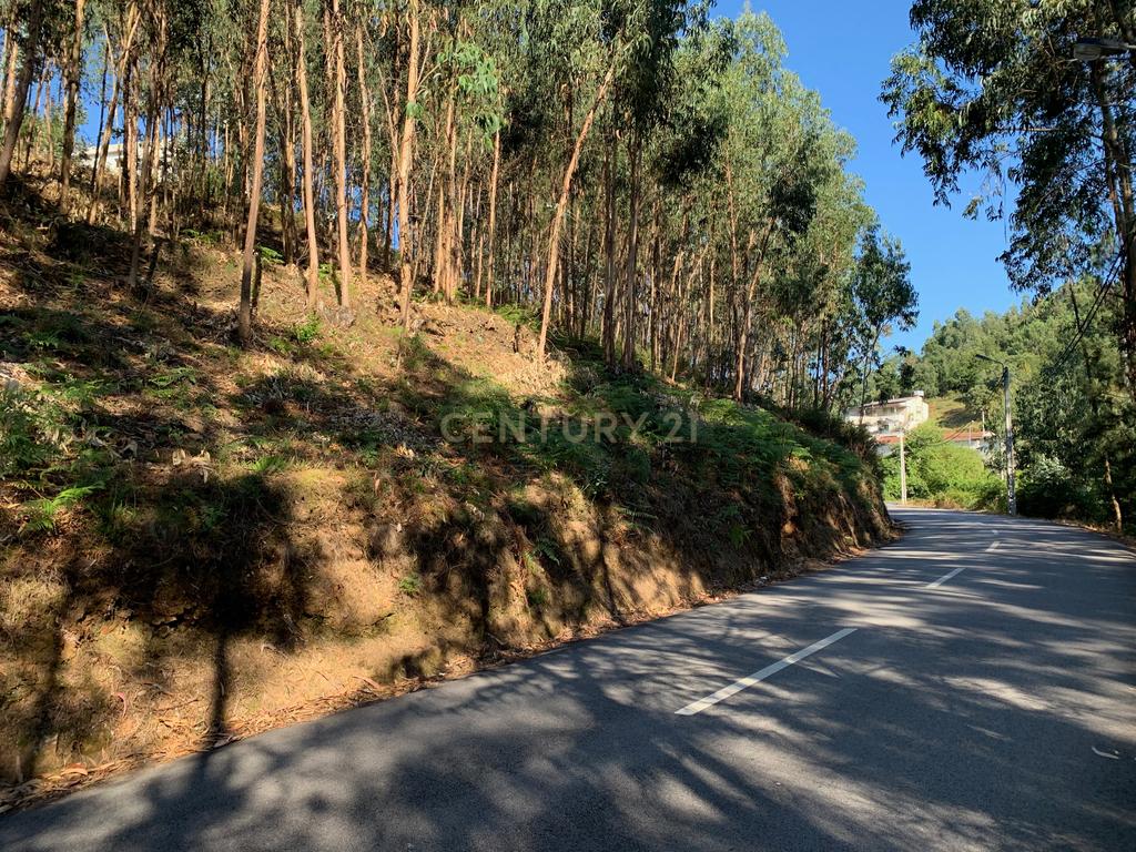 Terreno para construção em Lordelo - Image 4