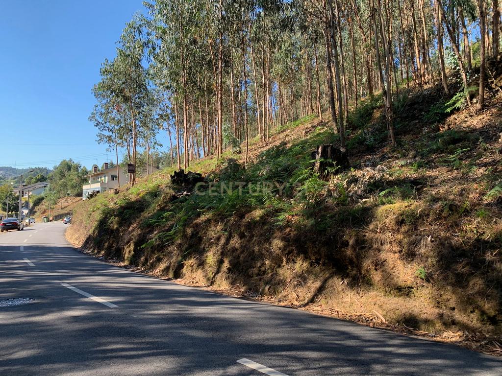 Terreno para construção em Lordelo - Image 3