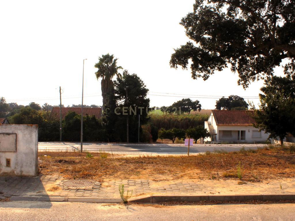 Terreno à venda em Águas de Moura, concelho de Palmela - Um refugio de tranquilidade e proximidade - Image 10