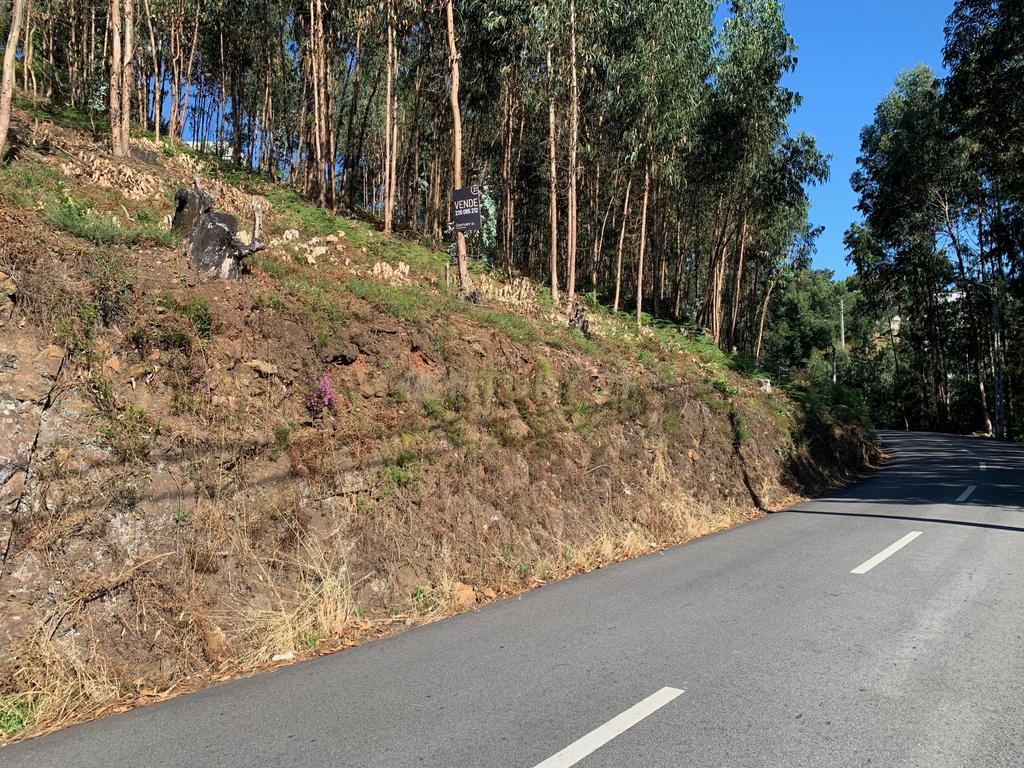 Terreno para construção em Lordelo - Image 2