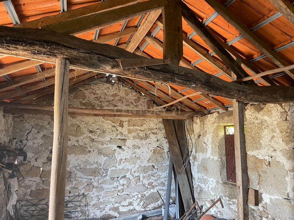 Uma propriedade rural de 1,5 hectares situada em Oliveira de Frades, que possui uma casa de 80m2 necessitando de renovação, está próxima da albufeira da Barragem de Ribeiradio. - Image 5
