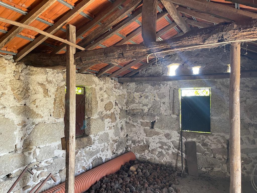 Uma propriedade rural de 1,5 hectares situada em Oliveira de Frades, que possui uma casa de 80m2 necessitando de renovação, está próxima da albufeira da Barragem de Ribeiradio. - Image 4