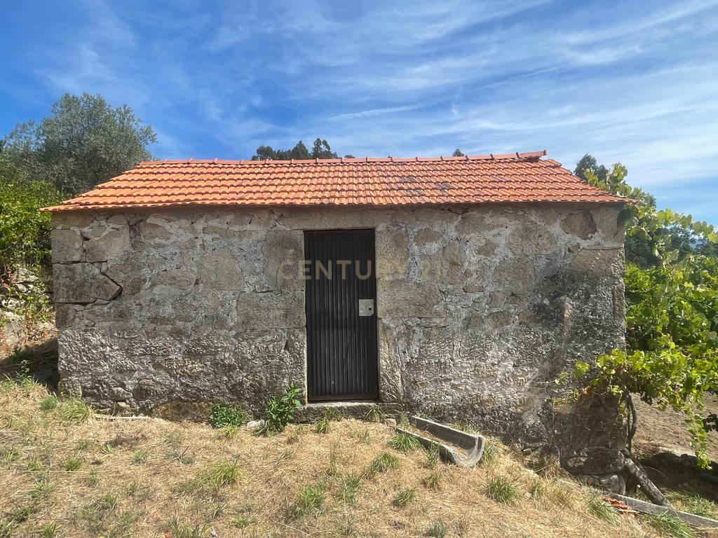 Uma propriedade rural de 1,5 hectares situada em Oliveira de Frades, que possui uma casa de 80m2 necessitando de renovação, está próxima da albufeira da Barragem de Ribeiradio. - Image 3