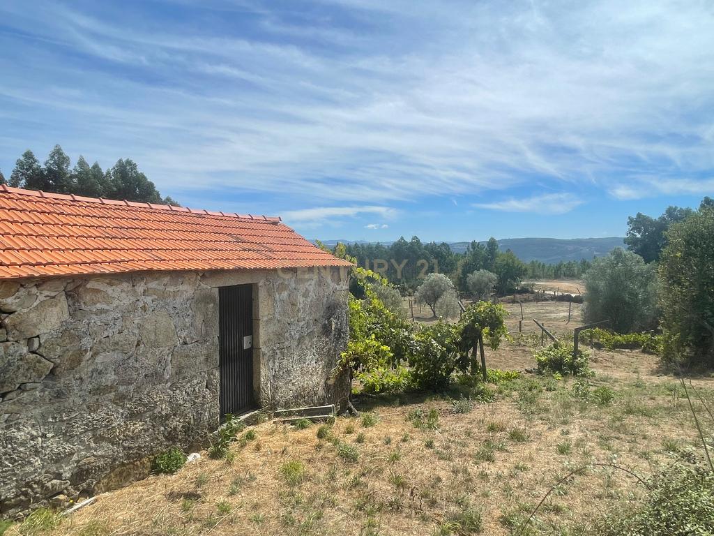 Uma propriedade rural de 1,5 hectares situada em Oliveira de Frades, que possui uma casa de 80m2 necessitando de renovação, está próxima da albufeira da Barragem de Ribeiradio. - Image 2