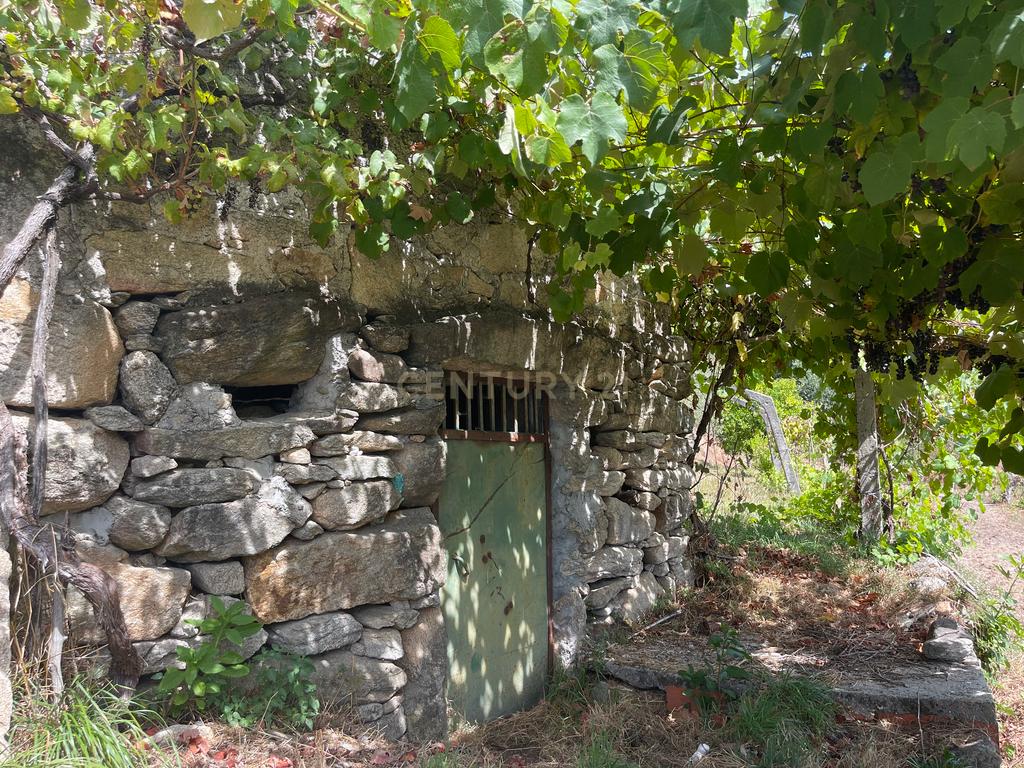 Uma propriedade rural de 1,5 hectares situada em Oliveira de Frades, que possui uma casa de 80m2 necessitando de renovação, está próxima da albufeira da Barragem de Ribeiradio. - Image 1