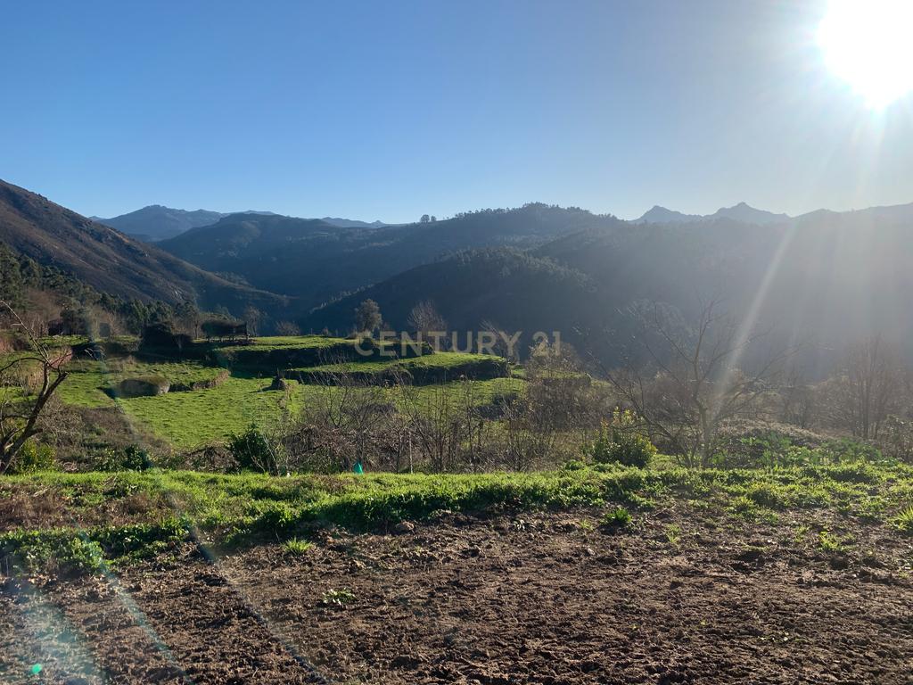 Magnífica Casa em Pedra no Gerês – Um Refúgio Único na Natureza - Image 12