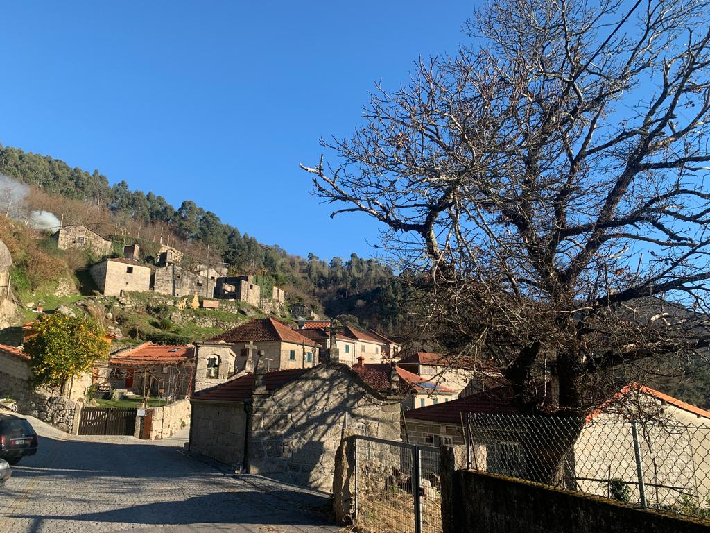 Magnífica Casa em Pedra no Gerês – Um Refúgio Único na Natureza - Image 13