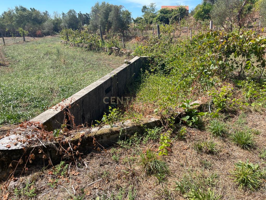 Uma propriedade rural de 1,5 hectares situada em Oliveira de Frades, que possui uma casa de 80m2 necessitando de renovação, está próxima da albufeira da Barragem de Ribeiradio. - Image 11