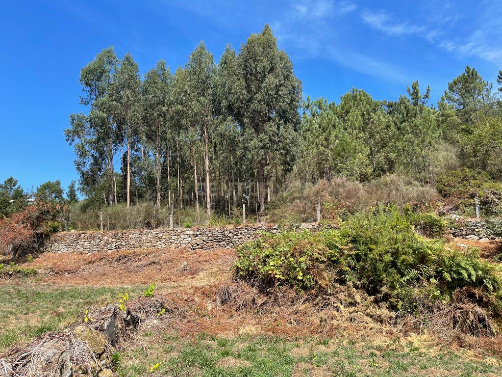 Uma propriedade rural de 1,5 hectares situada em Oliveira de Frades, que possui uma casa de 80m2 necessitando de renovação, está próxima da albufeira da Barragem de Ribeiradio. - Image 23