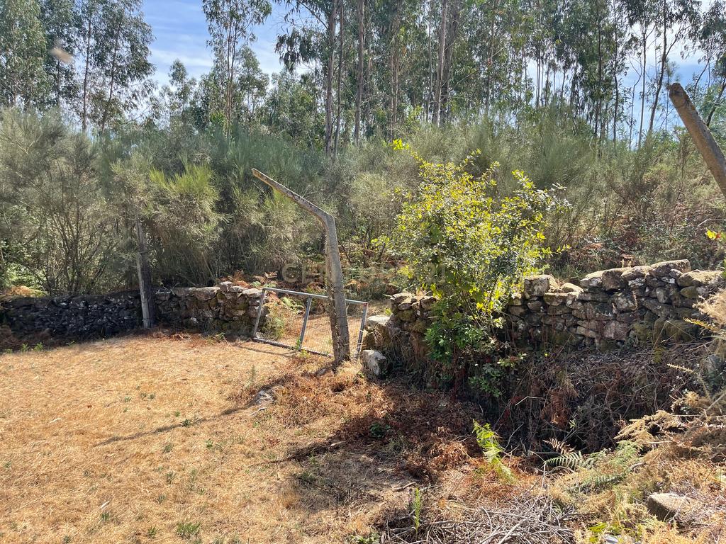 Uma propriedade rural de 1,5 hectares situada em Oliveira de Frades, que possui uma casa de 80m2 necessitando de renovação, está próxima da albufeira da Barragem de Ribeiradio. - Image 25