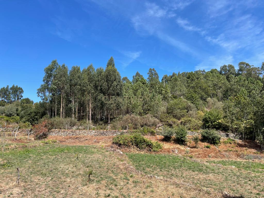 Uma propriedade rural de 1,5 hectares situada em Oliveira de Frades, que possui uma casa de 80m2 necessitando de renovação, está próxima da albufeira da Barragem de Ribeiradio. - Image 28