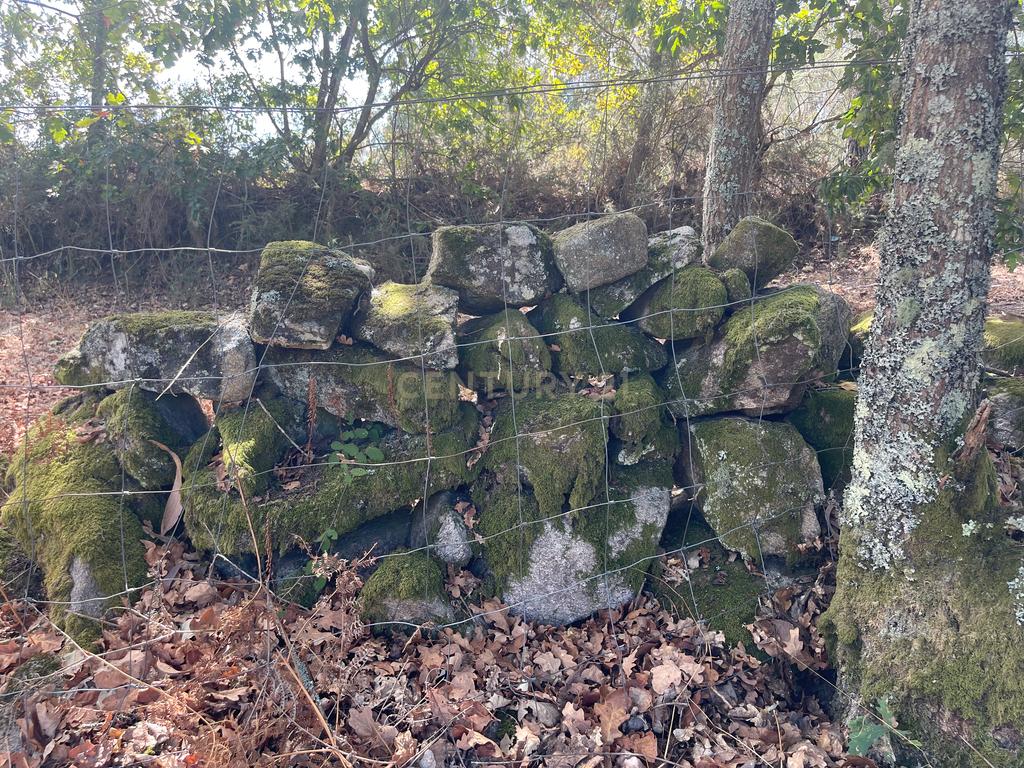 Uma propriedade rural de 1,5 hectares situada em Oliveira de Frades, que possui uma casa de 80m2 necessitando de renovação, está próxima da albufeira da Barragem de Ribeiradio. - Image 29