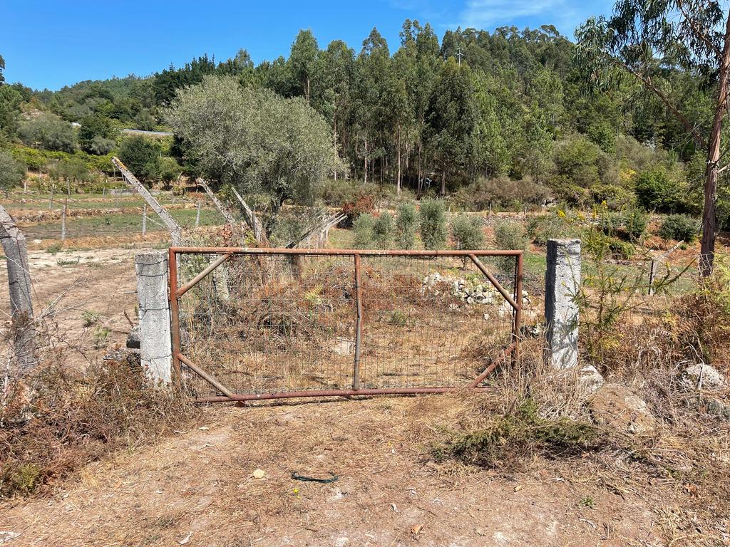 Uma propriedade rural de 1,5 hectares situada em Oliveira de Frades, que possui uma casa de 80m2 necessitando de renovação, está próxima da albufeira da Barragem de Ribeiradio. - Image 32