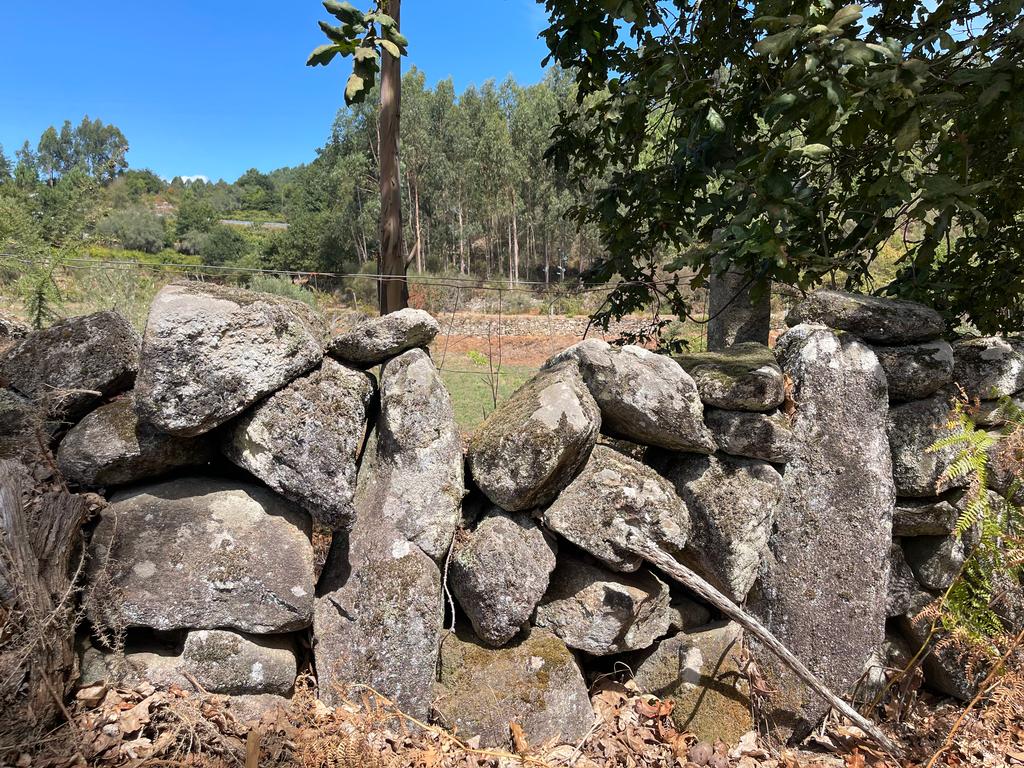 Uma propriedade rural de 1,5 hectares situada em Oliveira de Frades, que possui uma casa de 80m2 necessitando de renovação, está próxima da albufeira da Barragem de Ribeiradio. - Image 33