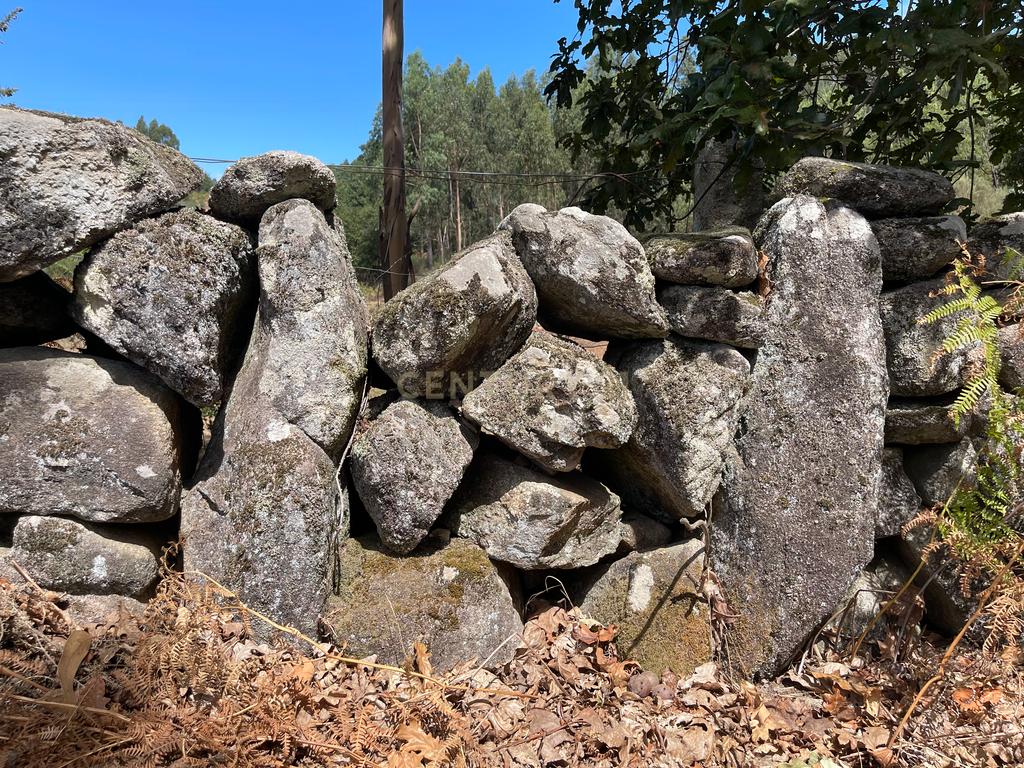 Uma propriedade rural de 1,5 hectares situada em Oliveira de Frades, que possui uma casa de 80m2 necessitando de renovação, está próxima da albufeira da Barragem de Ribeiradio. - Image 36