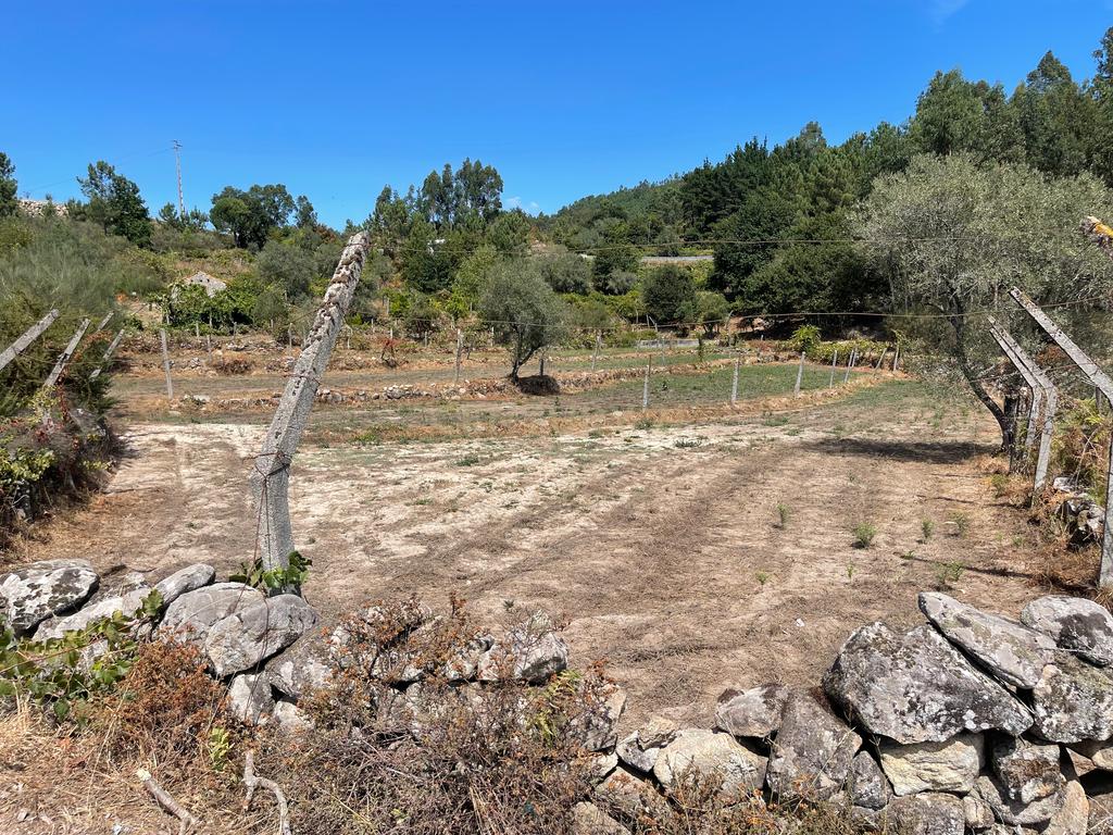 Uma propriedade rural de 1,5 hectares situada em Oliveira de Frades, que possui uma casa de 80m2 necessitando de renovação, está próxima da albufeira da Barragem de Ribeiradio. - Image 35