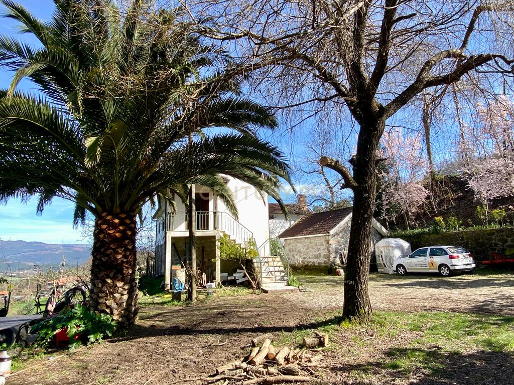 Quinta T3 Cabeceiras de Basto - Image 31
