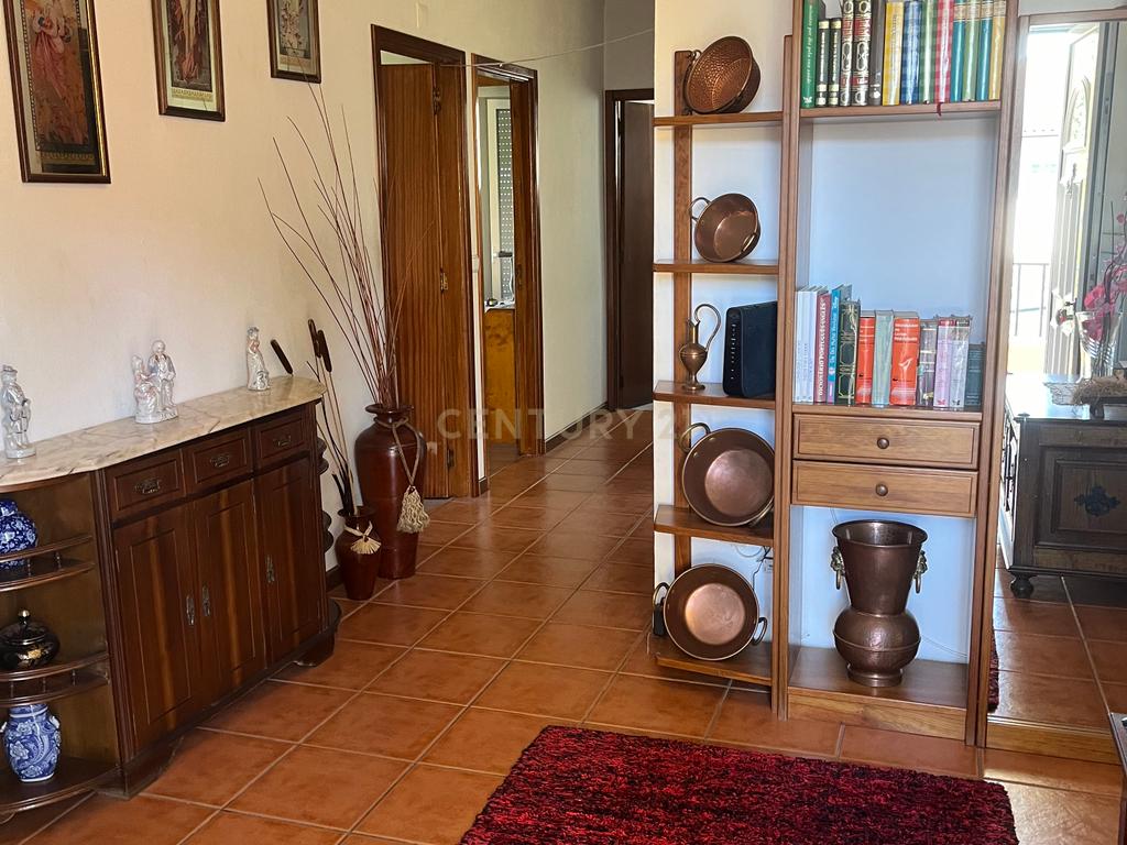 Moradia Isolada (com 4 Frações Independentes) -BRAGANÇA - Image 6
