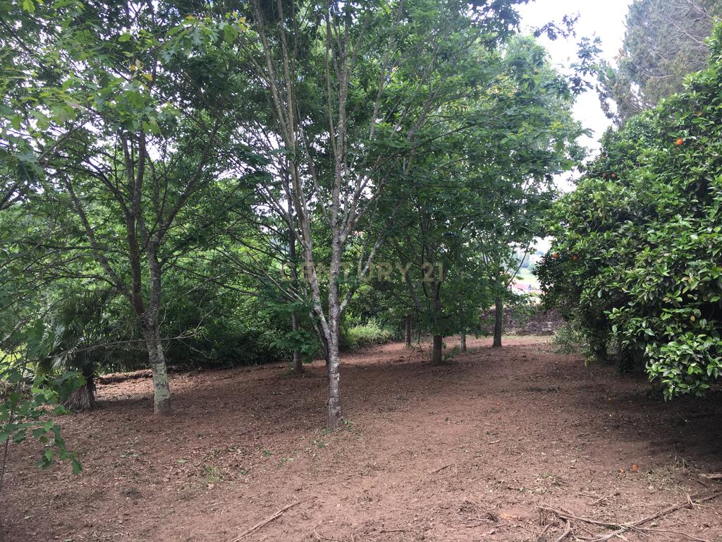 Quinta Villa Progresso - T6+1 em Cucujães - Image 27
