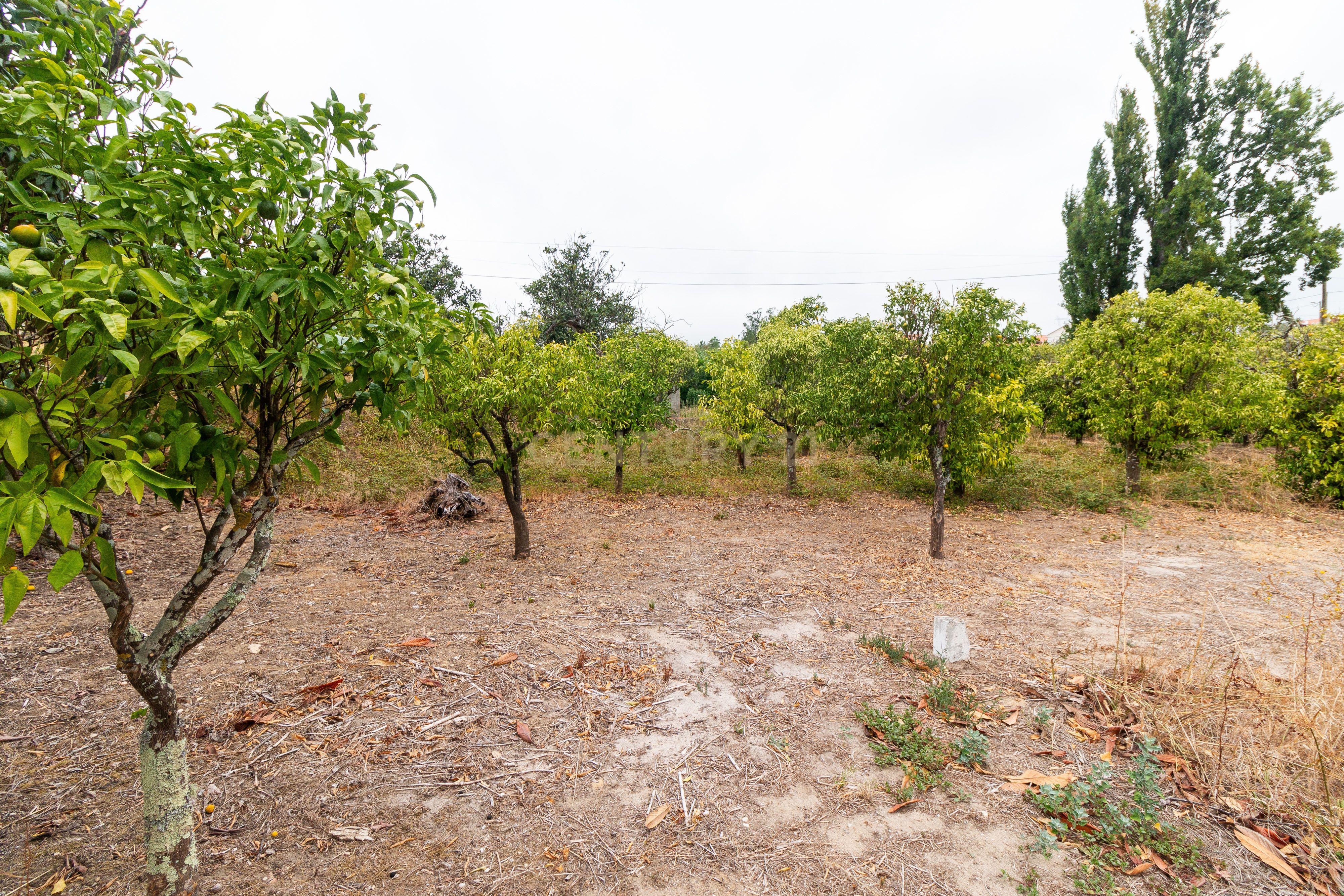 Moradia T2 Torres Novas - Chancelaria - Image 36