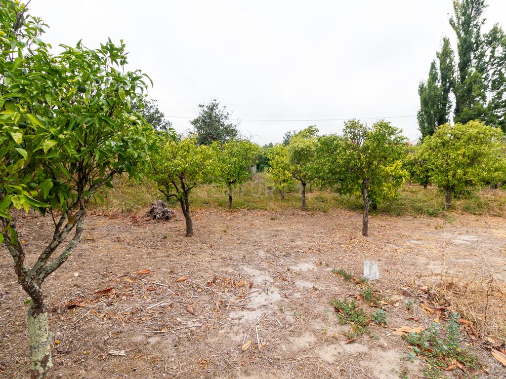 Moradia T2 Torres Novas - Chancelaria - Image 36