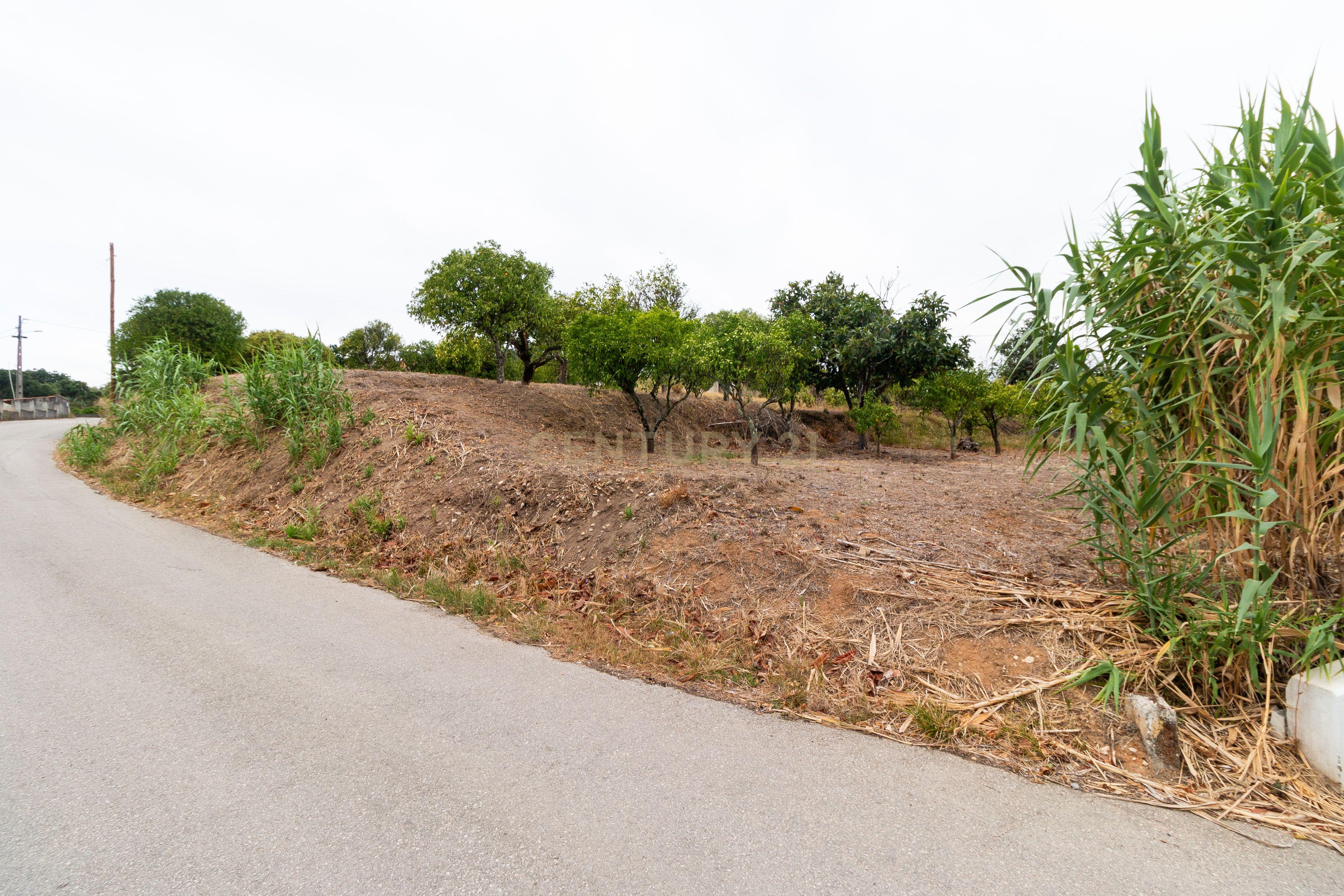 Moradia T2 Torres Novas - Chancelaria - Image 38