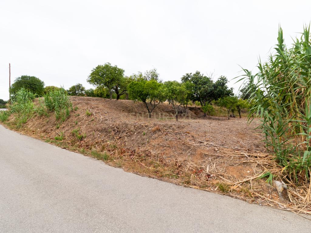 Moradia T2 Torres Novas - Chancelaria - Image 38