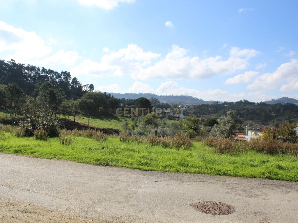 Terreno  S. Simão Litem zona urbana - Image 7