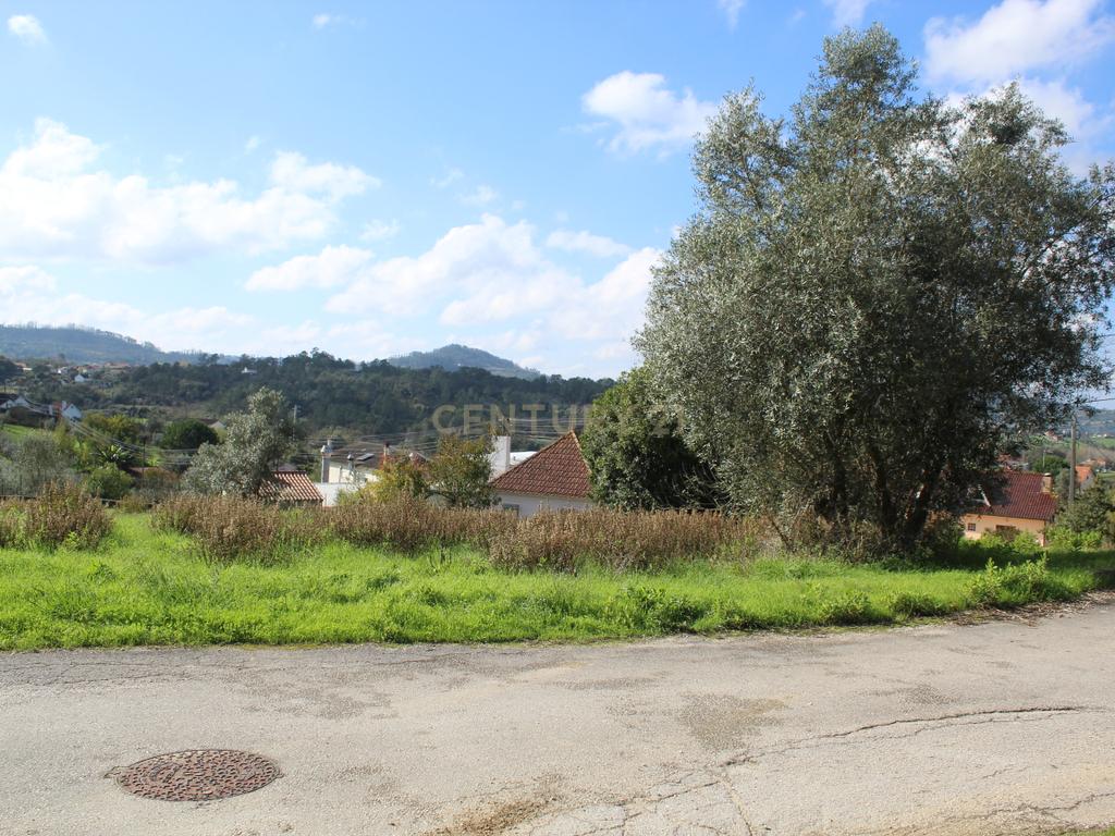 Terreno  S. Simão Litem zona urbana - Image 3