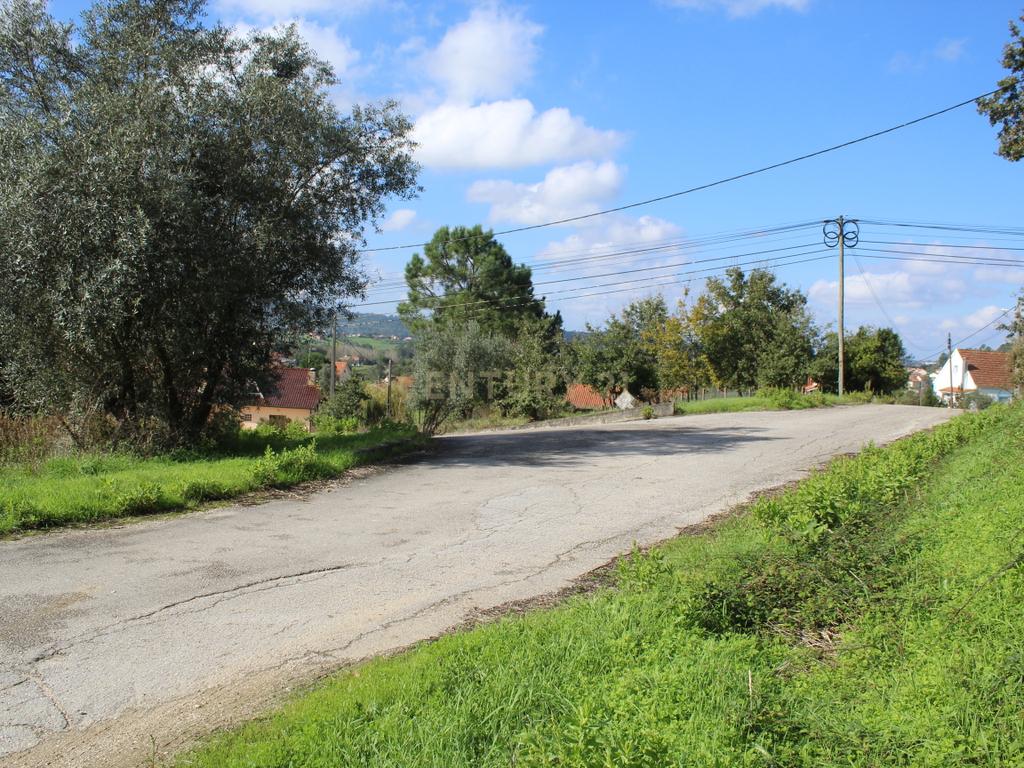 Terreno  S. Simão Litem zona urbana - Image 6