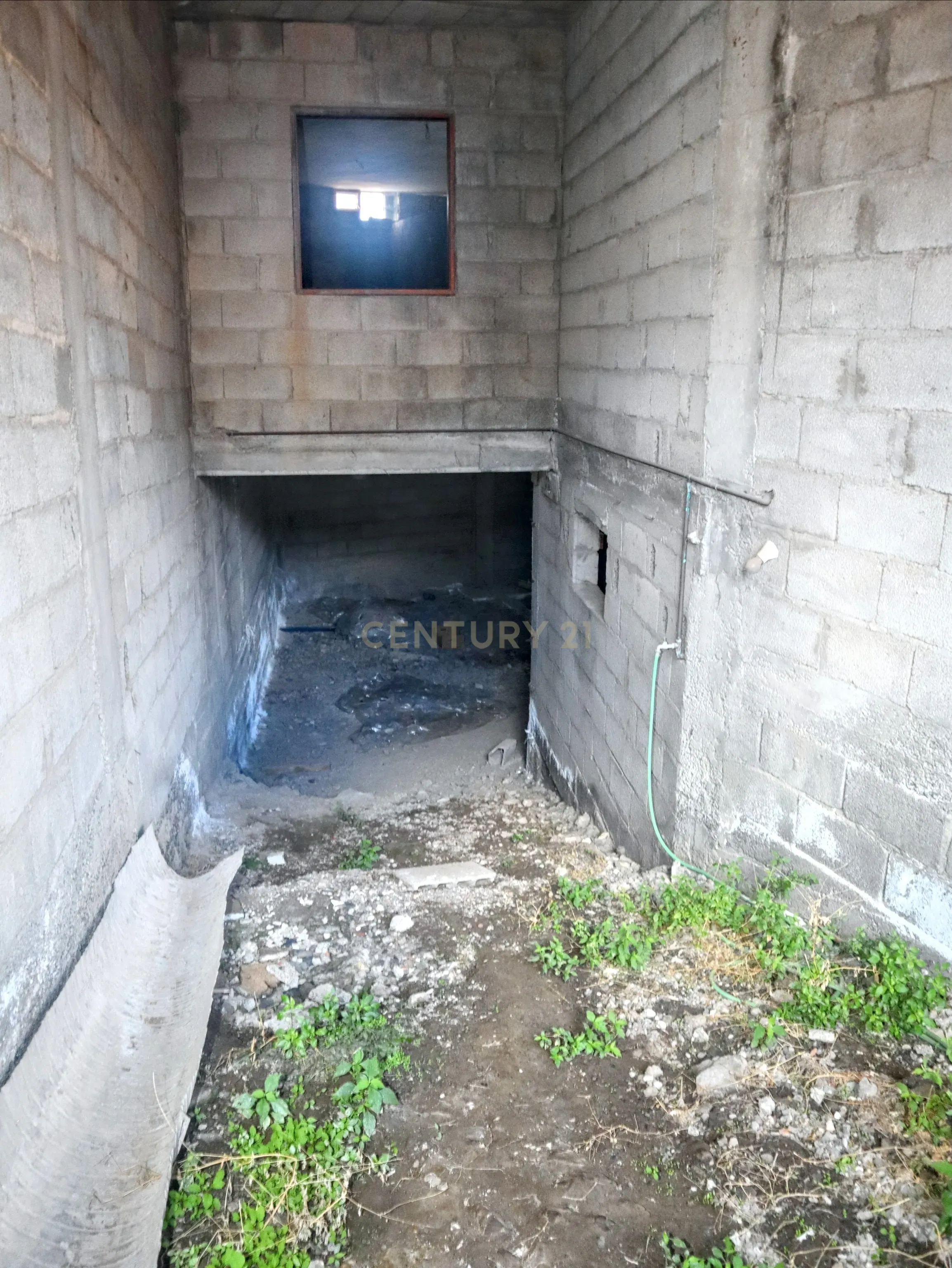 undefined - Image 13