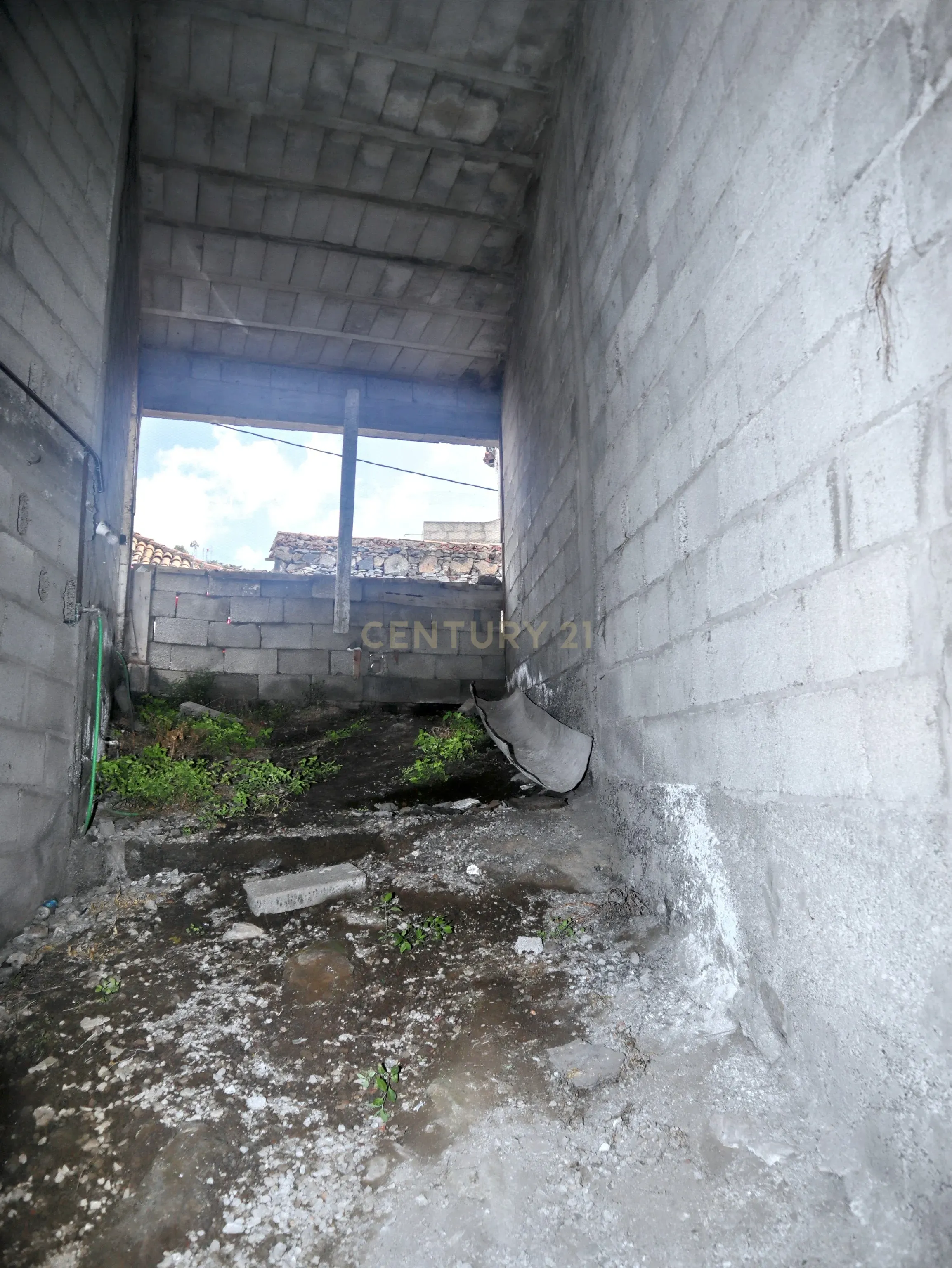 undefined - Image 16