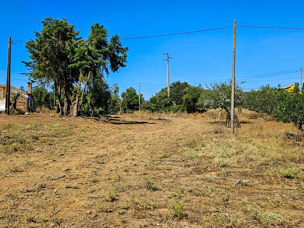 Lote de Terreno com Ruína em Montemor-o-Novo - Image 27