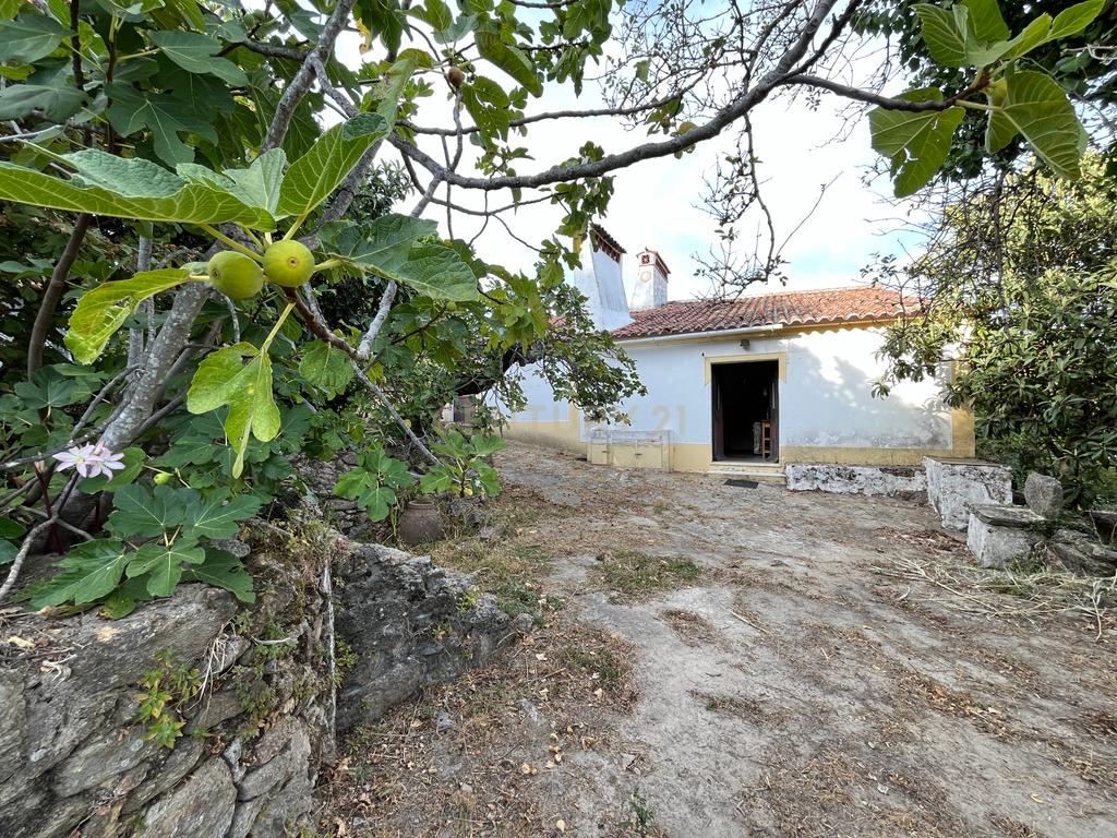QUINTA T5 - REGUENGO - PORTALEGRE - Image 5
