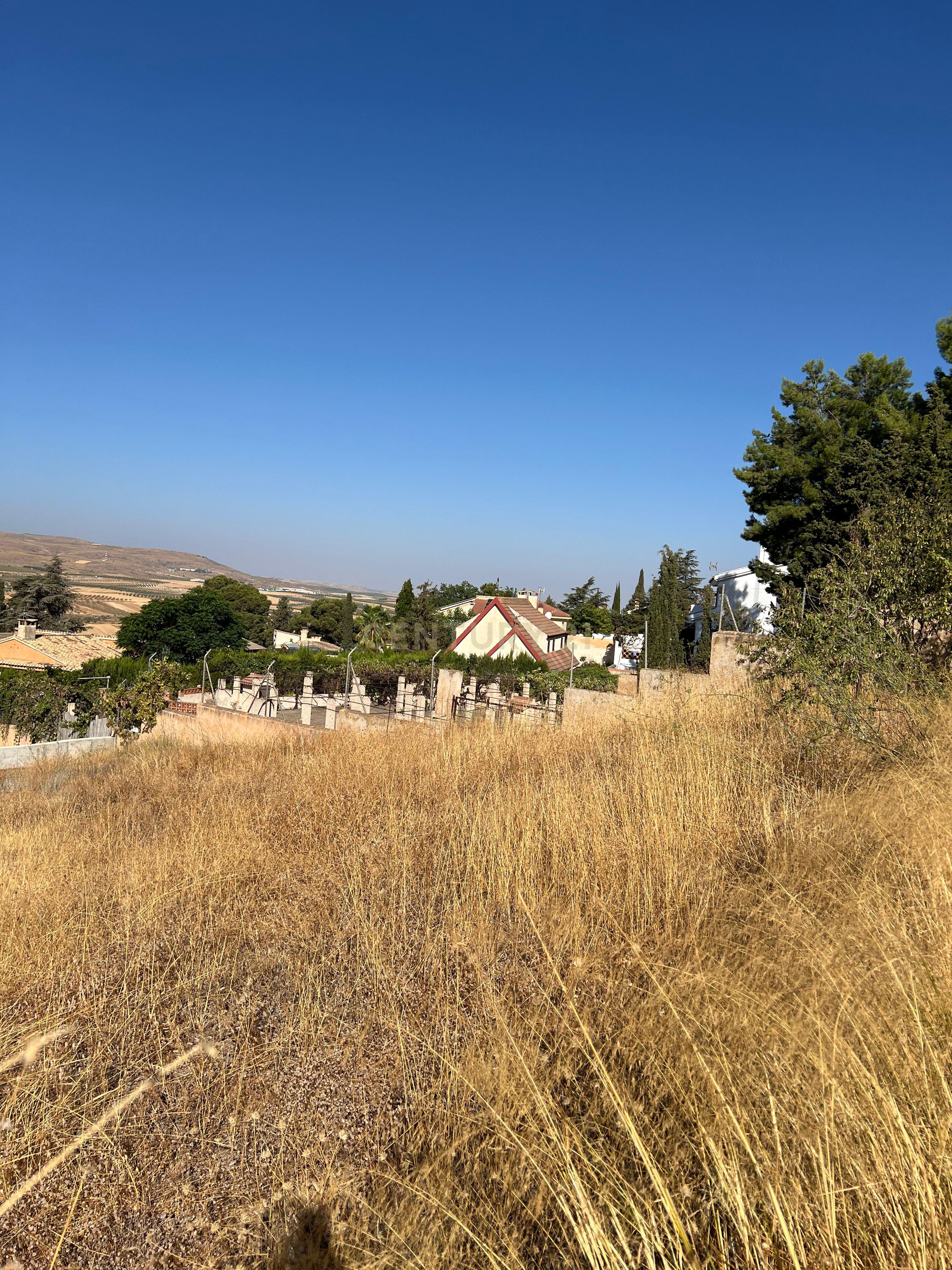 undefined - Image 8