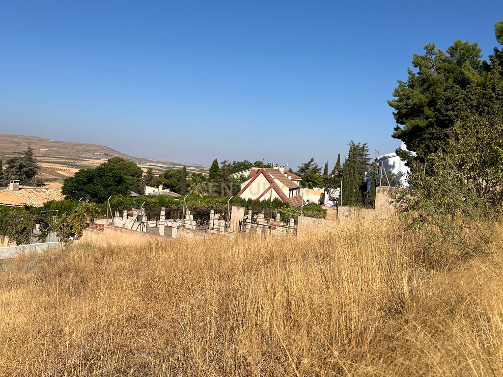 undefined - Image 8